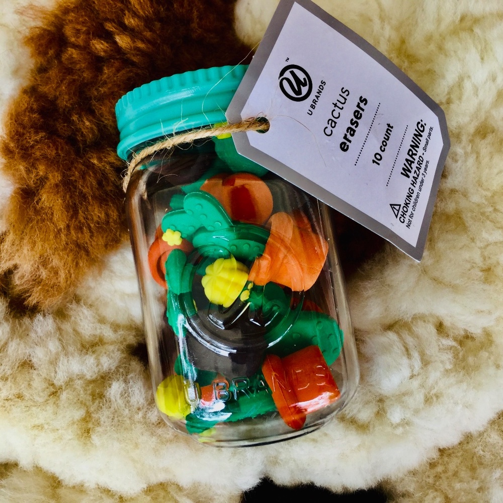 Cactus Erasers  Ⓜ️